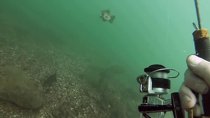 Pêcher sous leau avec une canne à pêche