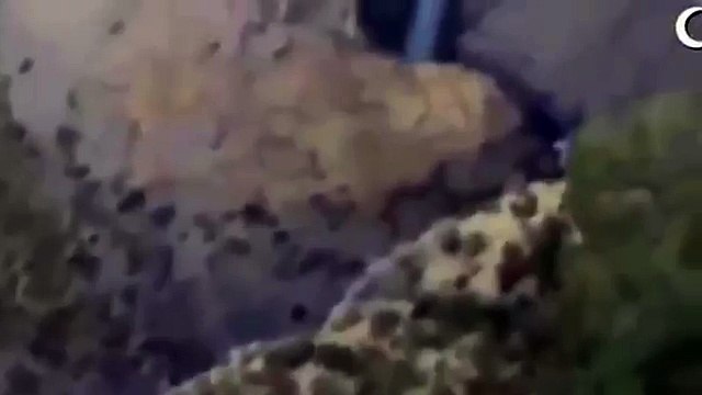 PKK Şırnak İdil YA TESLİM OLACAKSINIZ YA DA ÖLECEKSİNİZ Cehennem Deresi Operasyon TÜRK