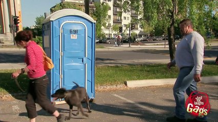 Relax Daily_Not Your Usual Police Dog