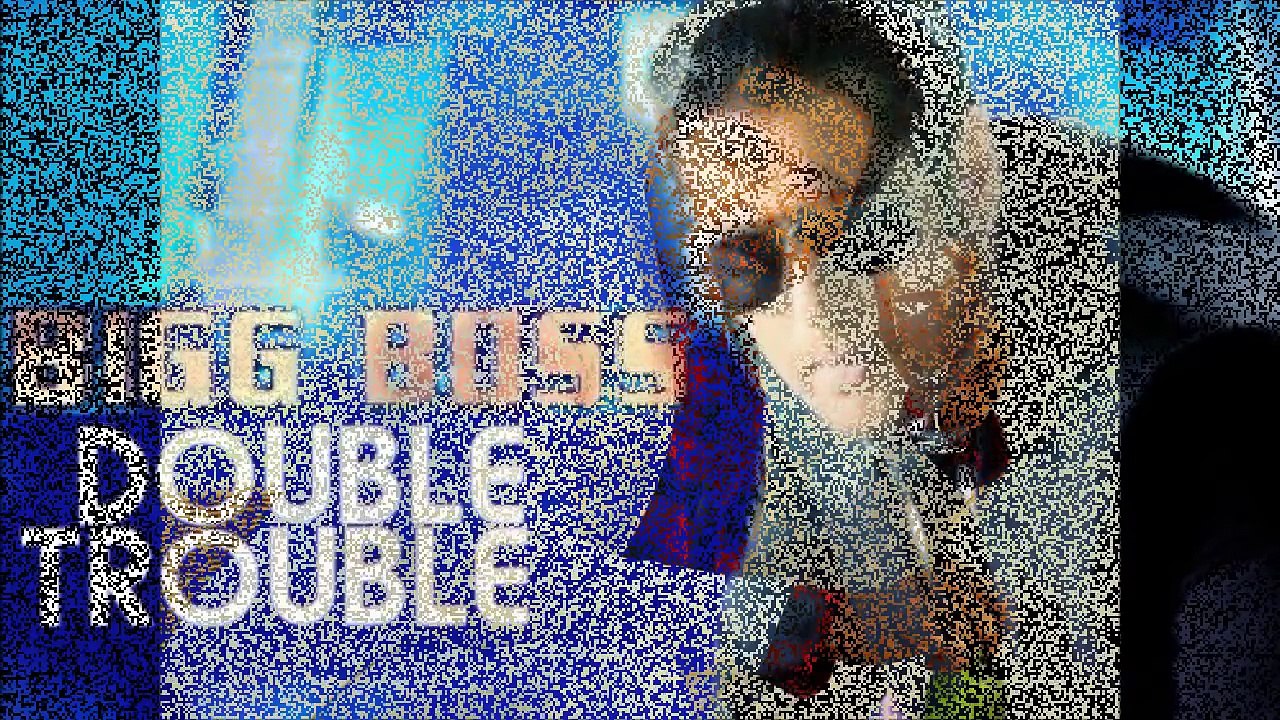 Bigg Boss 9 Double Trouble Finalist