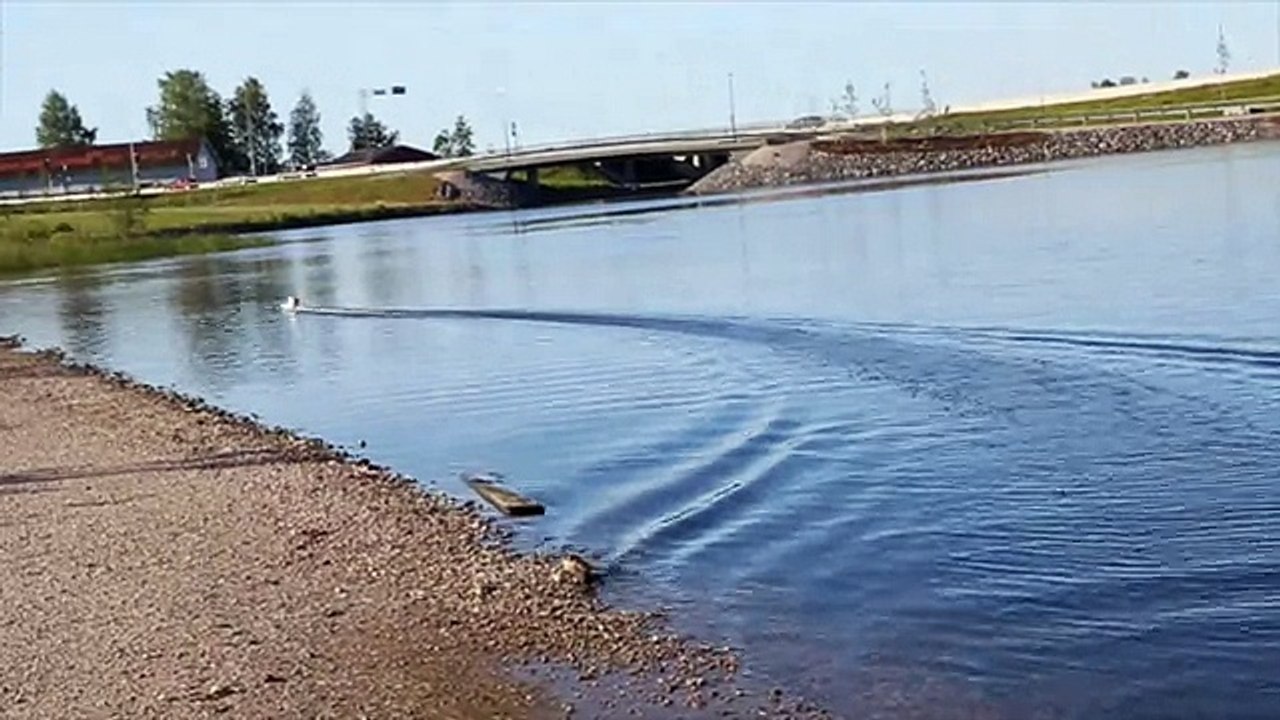 Hornet Formula-1 Tunnel Hull with 540 Outboard Motor R-C Racing Boat (750mm)