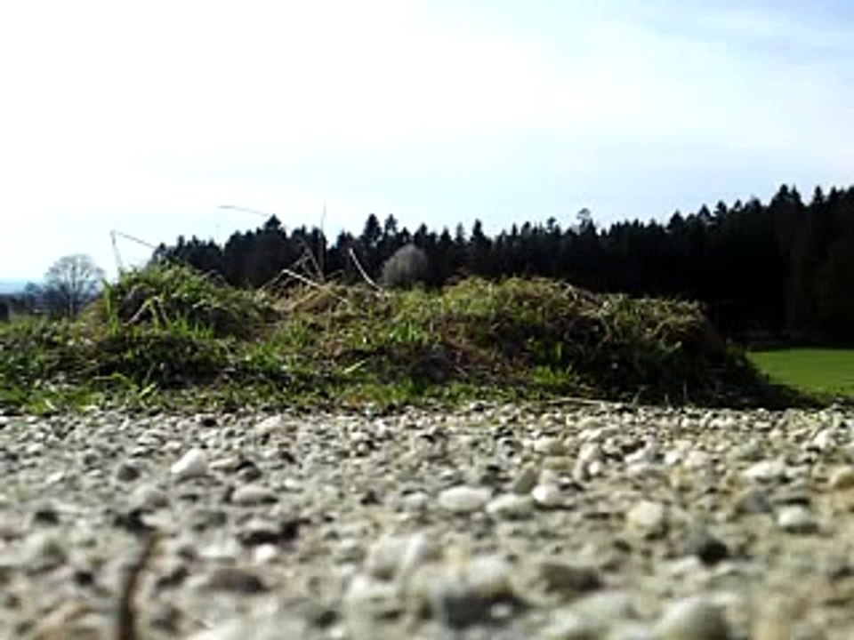 Nissan Skyline GT-R 32 vs. Ferrari Formel 1
