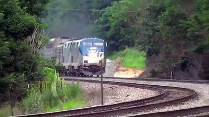 Amtrak Train Hits Deer