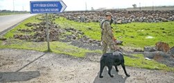 6 PKK'lı Cezaevinden Çarşafla Firar Etmiş