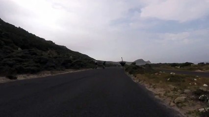 Cyclists chased by an ostrich, The funniest thing youll see today