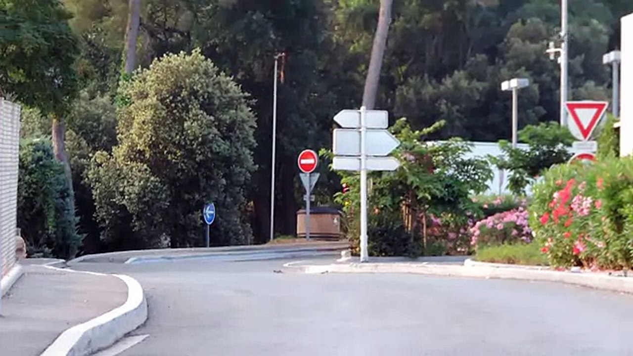 Scania R V8 ''Red Formula'' By Sarantos Petropoulos and Powered