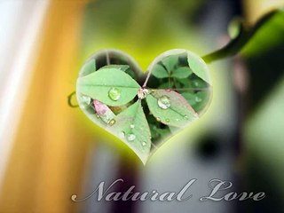 علامات للحمل المبكر جدا مهم جدا