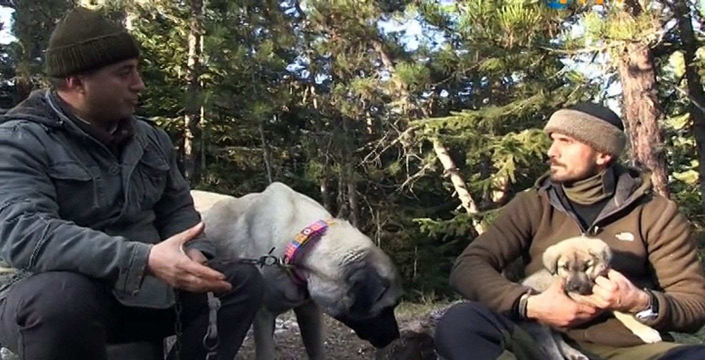 belgesel - DAĞ EVİ - bölüm 2