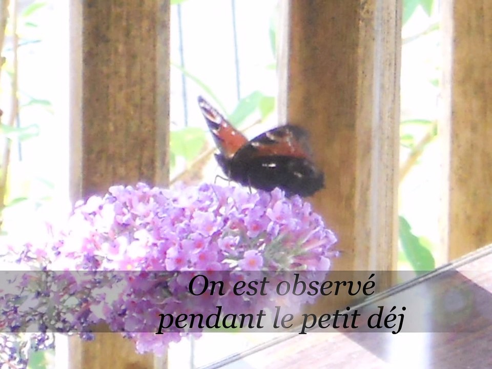 Nos Vacances à Meschers ( Charente-Maritime )