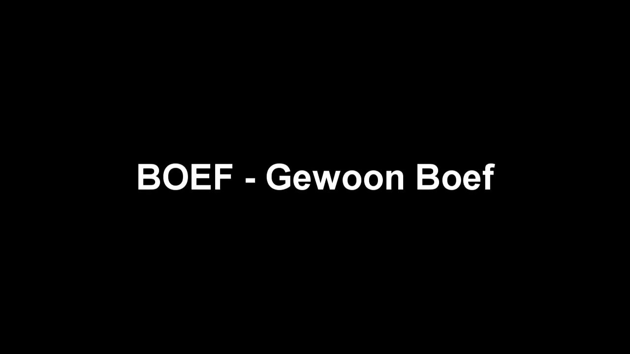 BOEF Gewoon Boef Lyrics