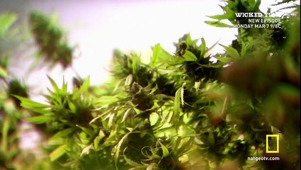 National Geographic Explorer 25 Years - NG History Career