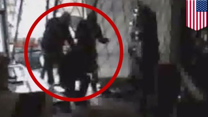 Gang loots California gun store in daring smash and grab raid