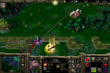 Pudge Dota Pro LIVE HOOKS