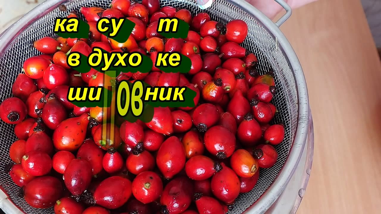 Как сушить в духовке шиповник Пейте витаминный чай