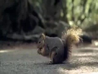 Смешная реклама бриджстоун