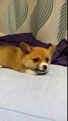 ミ {{OPMAP.NET}}  ӭ  인천오피 ब  ㎽만족௵인천휴게텔