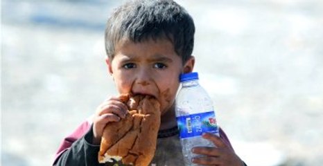 İsveçli İş adamı Sığınmacı Çocuklar İçin 10.7 Milyon Euro Bağışladı
