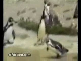 Sprizzare ....di gioia e felicità