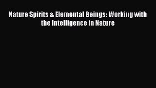 Read Nature Spirits & Elemental Beings: Working with the Intelligence in Nature Ebook Free