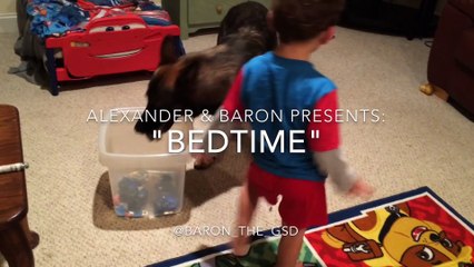 Quand le chien de la maison s'occupe de coucher les enfants! Aller au lit...
