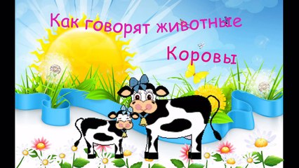 В Мире Животных - Как говорят животные - Корова с телятами ( живые звуки )