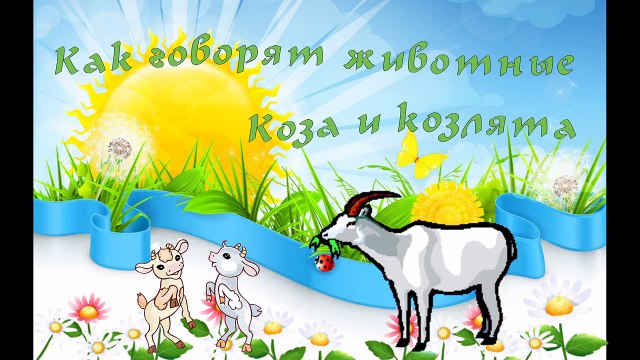 В Мире Животных - Как говорят животные - Коза и Козлята ( живые звуки )