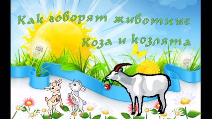 В Мире Животных - Как говорят животные - Коза и Козлята ( живые звуки )