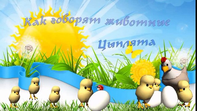 В Мире Животных - Как говорят животные - Мои цыплята ( живые звуки )