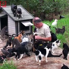 Comelnya, Dunia Kecil Kucing - Caboodle Ranch in Madison Florida