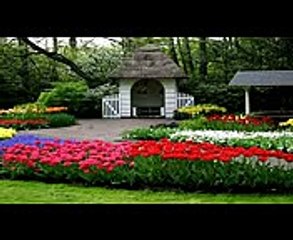Main Madine Chala Main Madina Chala - Best Urdu Naat -