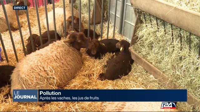 Les oubliées de la presse