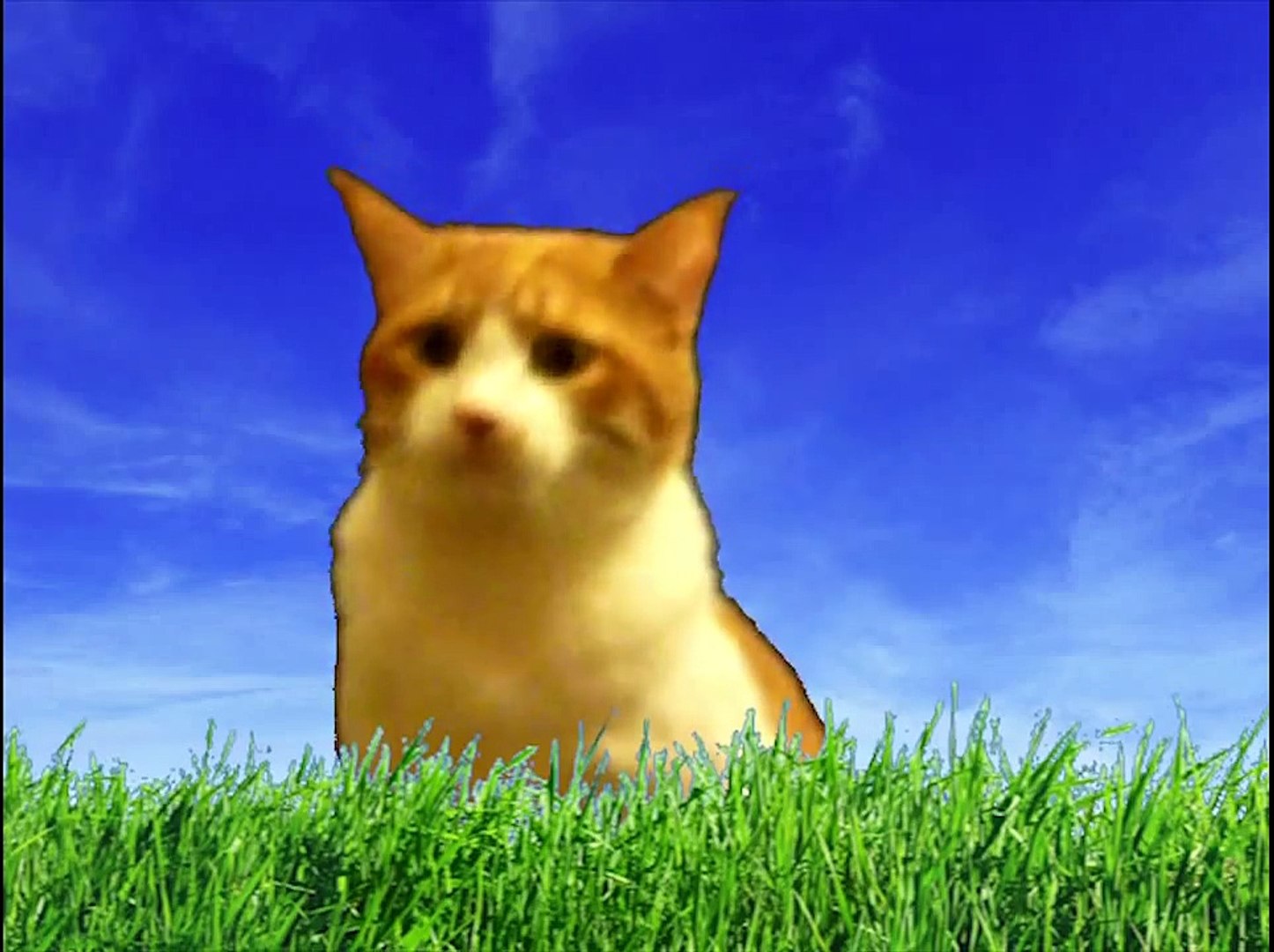 говорят животные 2