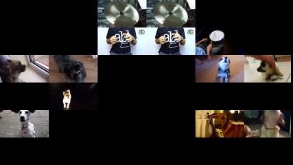 (Dog Acapella) Darth Vader's Theme The Imperial March