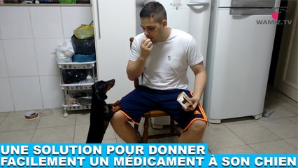 Une solution pour facilement donner un médicament à son chien ! À découvrir dans la minute chien #151