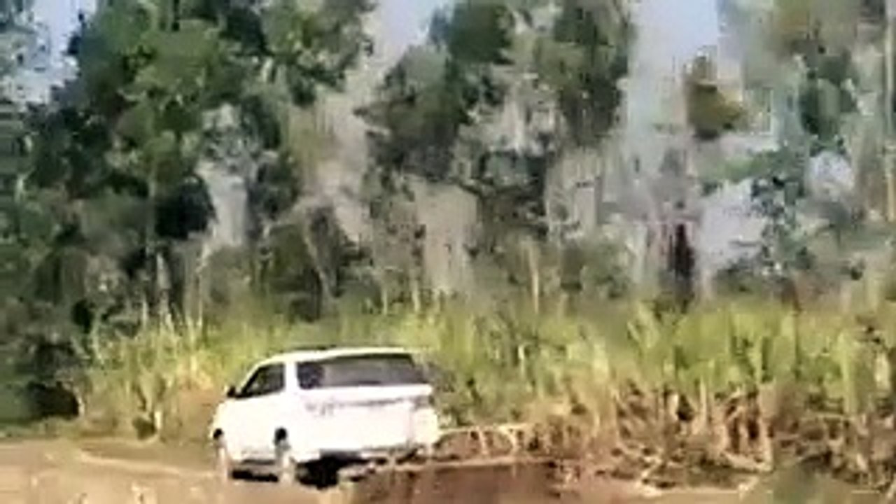 cars paxat