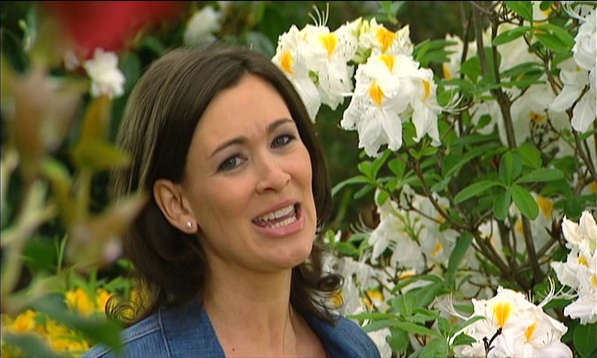 Deine himmelblauen Augen 2011