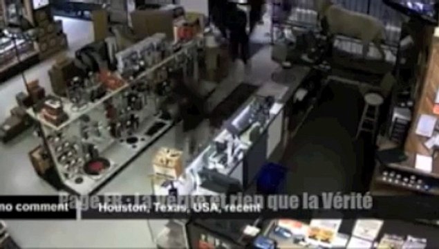 Le cambriolage spectaculaire d'une armurerie à Houston au Texas