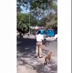 Respect For This Traffic Police