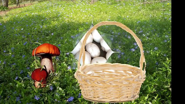 ФАРШИРОВАННЫЕ ГРИБЫ в мультиварке ВКУСНО! рецепт с шампиньонами