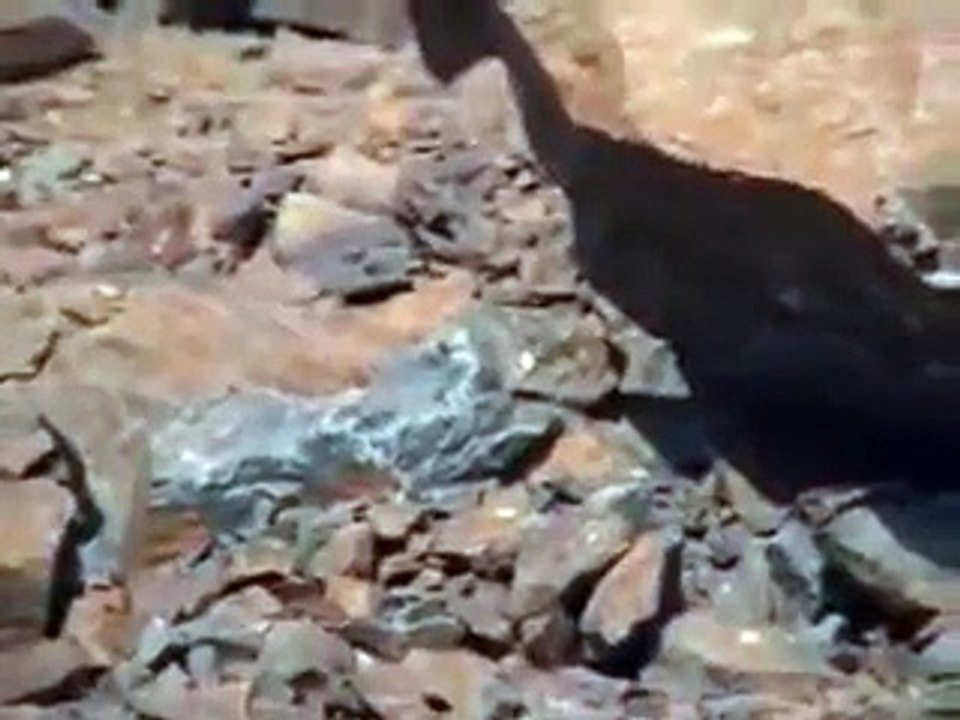 Hazrat Amina Bibi (r.a) ki Qabar-e-Mubarik. (Mukam-e-Abwa)