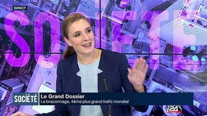 Grand Dossier : le braconnage, 4e plus grand trafic mondial