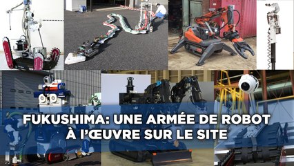 Catastrophe de Fukushima: Une armée de robots travaille sur le site