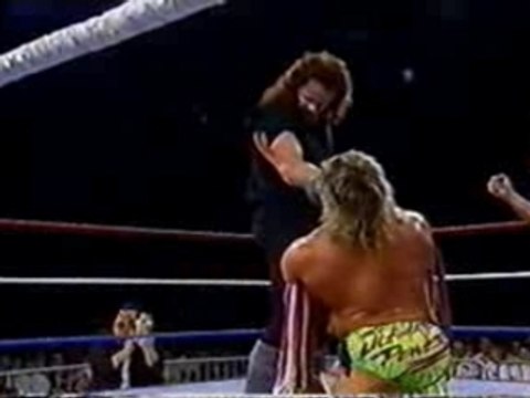 WWF - Ultimate Warrior vs The Undertaker - Summerslam 1992