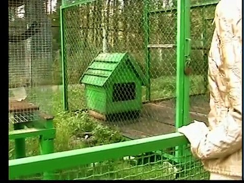 Мы опять отдыхаем в лесу на 5 августа летом — 1 часть видео