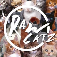 We are Raw Catz