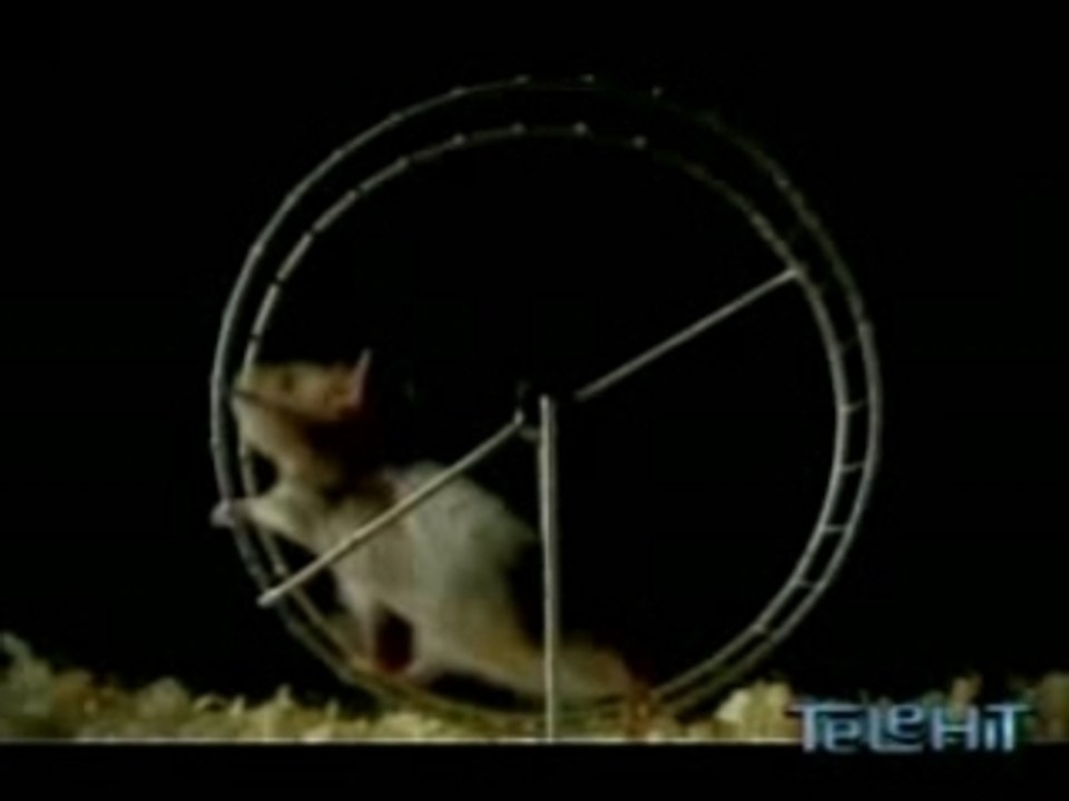 Babasonicos_-_Puesto