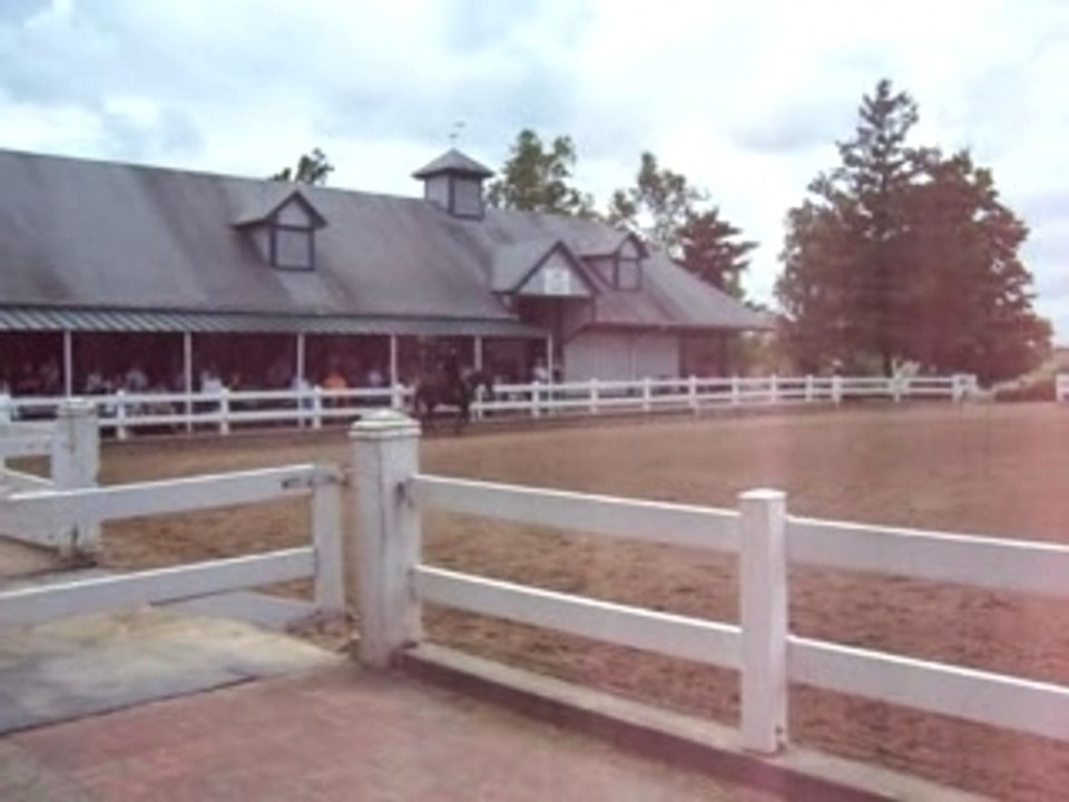 Rocky Mt Horse