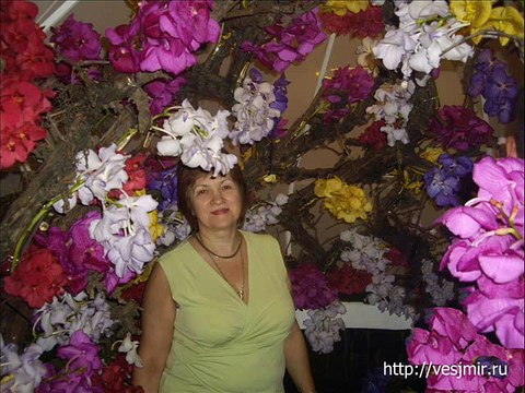 Выставка цветов Хайфа Израиль. Орхидеи