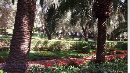 Путешествие по храмам Бахаи