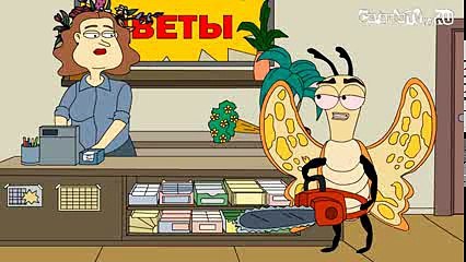 Бабочка в цветочном магазине